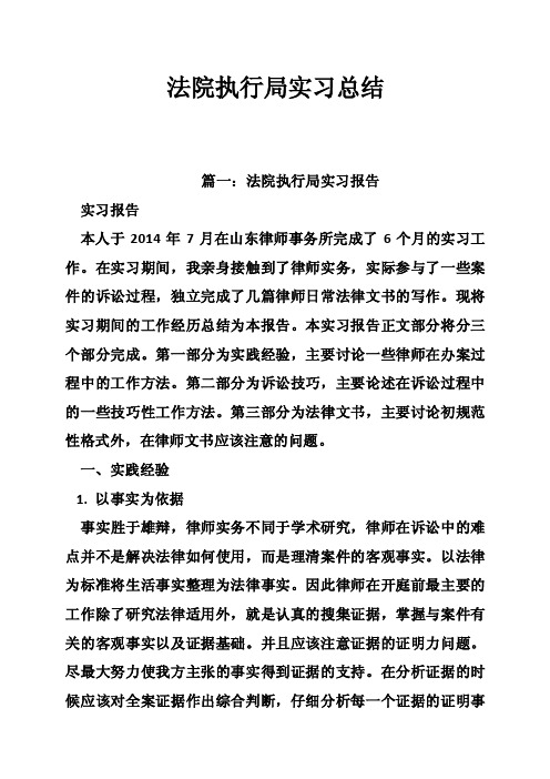 法院执行局实习总结