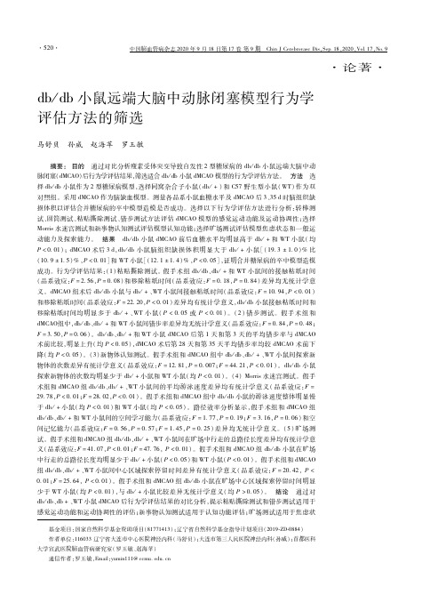 dbdb小鼠远端大脑中动脉闭塞模型行为学评估方法的筛选