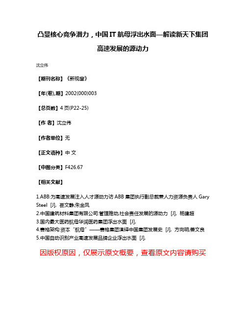 凸显核心竞争潜力，中国IT航母浮出水面—解读新天下集团高速发展的源动力