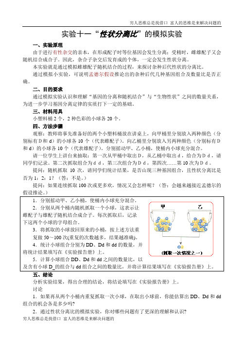 高二生物性状分离比的模拟实验