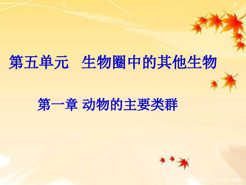 1腔肠动物和扁形动物