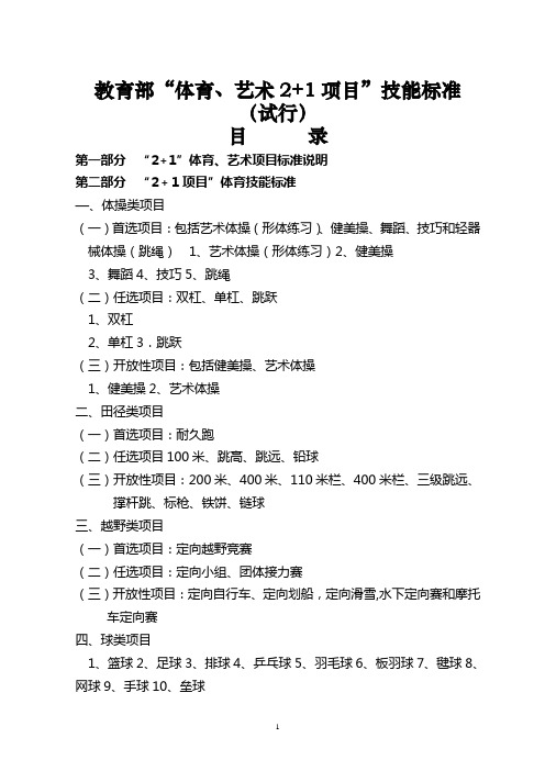 教育部“体育、艺术2+1项目”技能标准