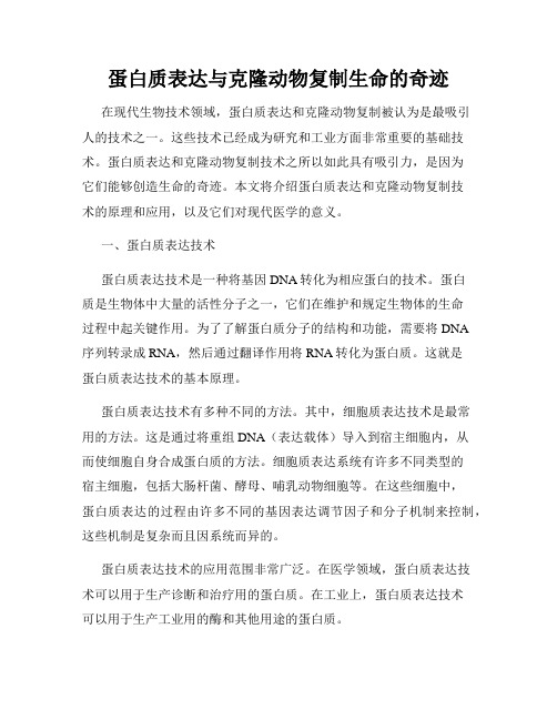 蛋白质表达与克隆动物复制生命的奇迹