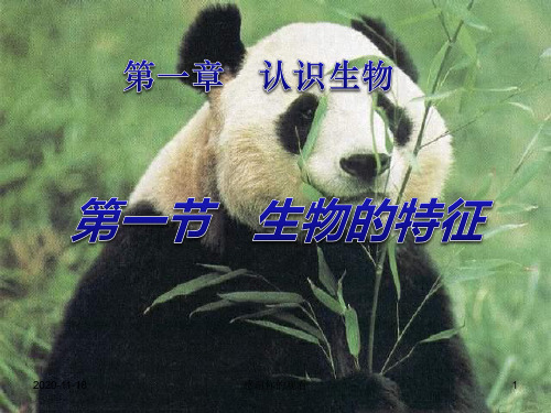 七年级生物上册_1.1.1《生物的特征》课件(2)_人教新课标版.ppt