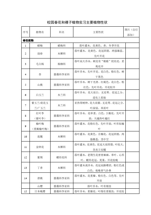 校园春花和裸子植物实习(主要性状)