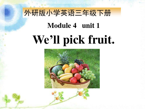 《We'llpickfruit》PPT课件3