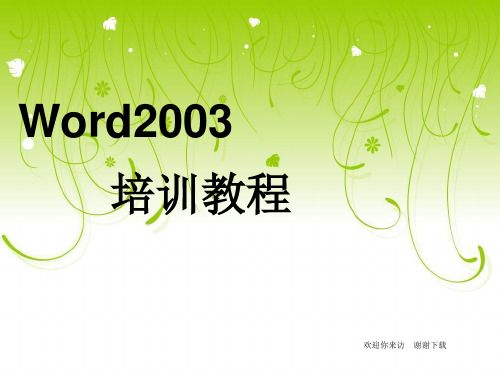 【培训课件】Word2003培训教程