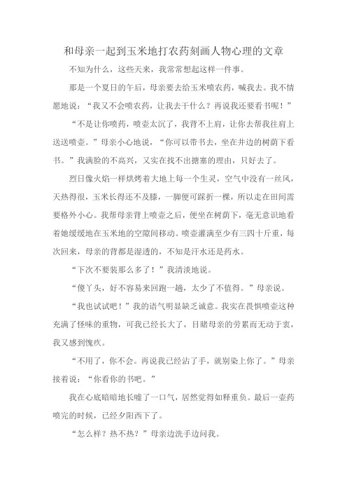 和母亲一起到玉米地打农药刻画人物心理的文章