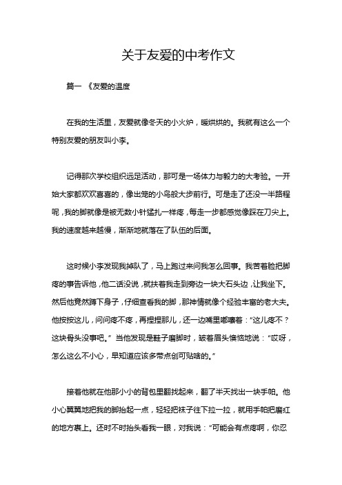 关于友爱的中考作文