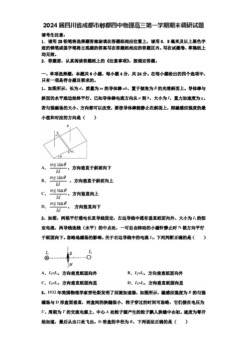 2024届四川省成都市郫都四中物理高三第一学期期末调研试题含解析