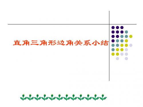 直角三角形边角关系复习 PPT课件 浙教版