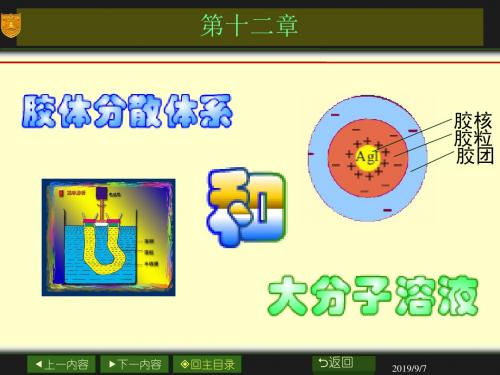 第十二章 胶体分散体系与大分子溶液.