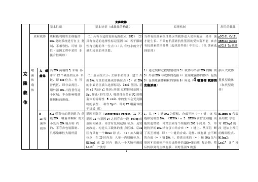 克隆载体与表达载体