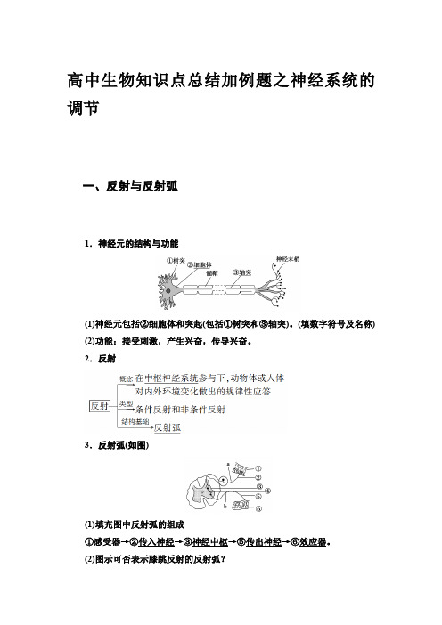 高中生物知识点总结加例题之神经系统的调节