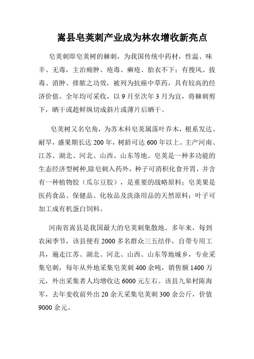 嵩县皂荚刺产业成为林农增收新亮点