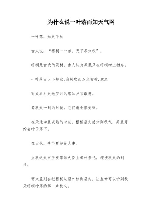 为什么说一叶落而知天气网