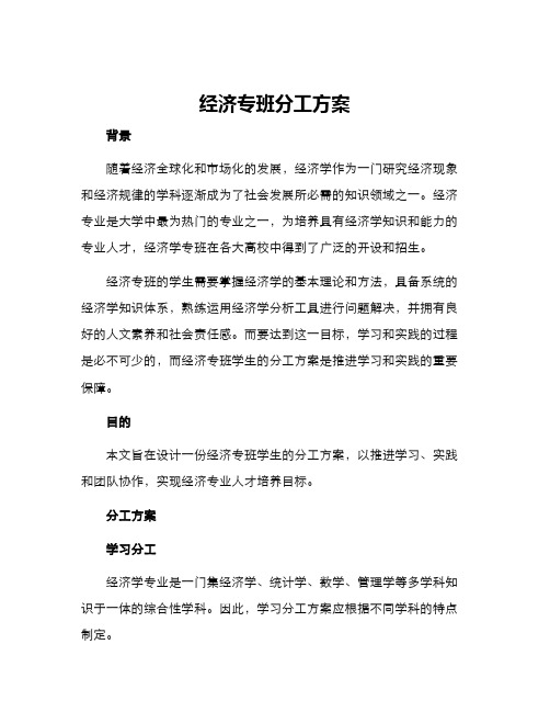 经济专班分工方案