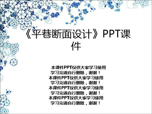 《平巷断面设计》PPT课件