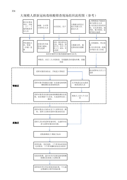 大规模人群新冠病毒核酸筛查现场组织流程图