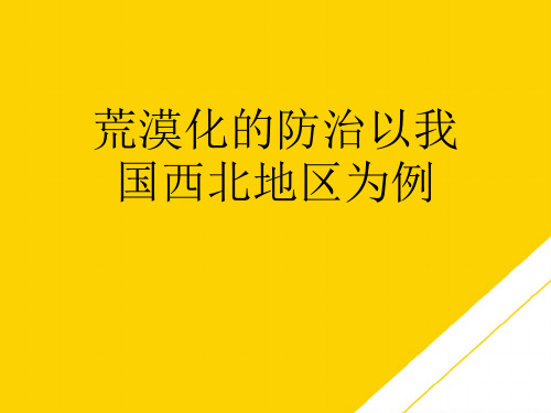 荒漠化的防治以我国西北地区为例(最全版)PTT文档