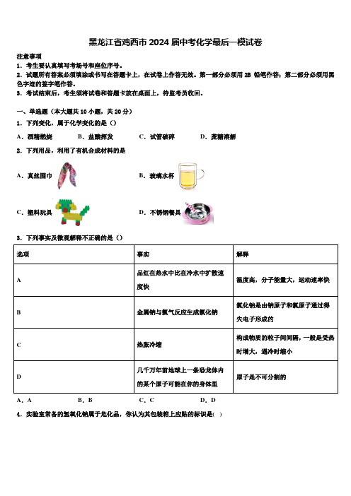 黑龙江省鸡西市2024届中考化学最后一模试卷含解析