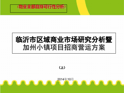 临沂市区域商业市场研究分析暨加州小镇项目招商营运方案(上)