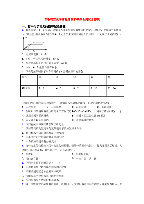 沪教初三化学常见的酸和碱综合测试含答案