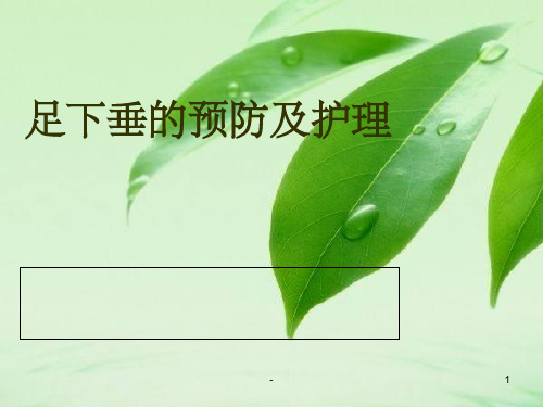 足下垂的预防及护理 ppt