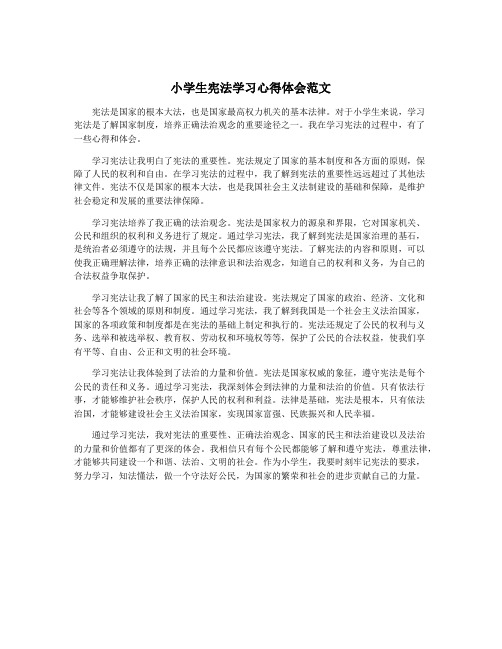 小学生宪法学习心得体会范文