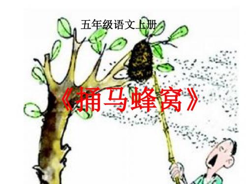 西师大小学五年级语文上册《捅马蜂窝》ppt课件