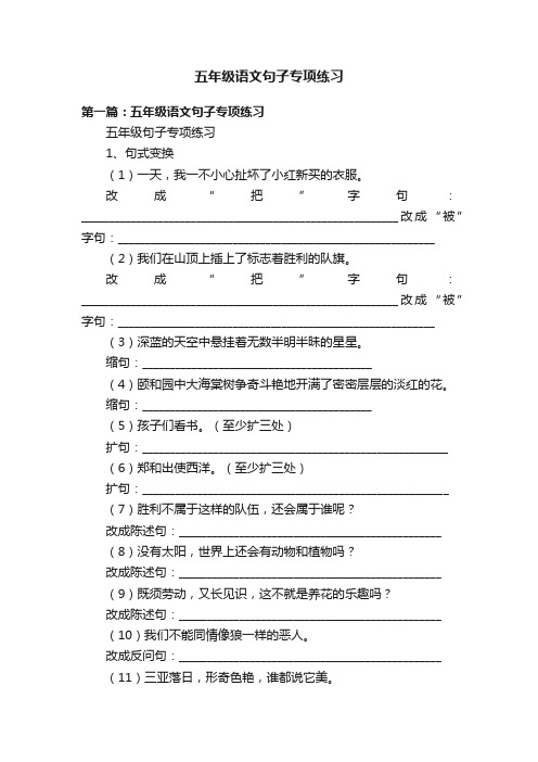 五年级语文句子专项练习