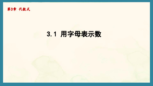 3.1 用字母表示数(课件)青岛版(2024)数学七年级上册