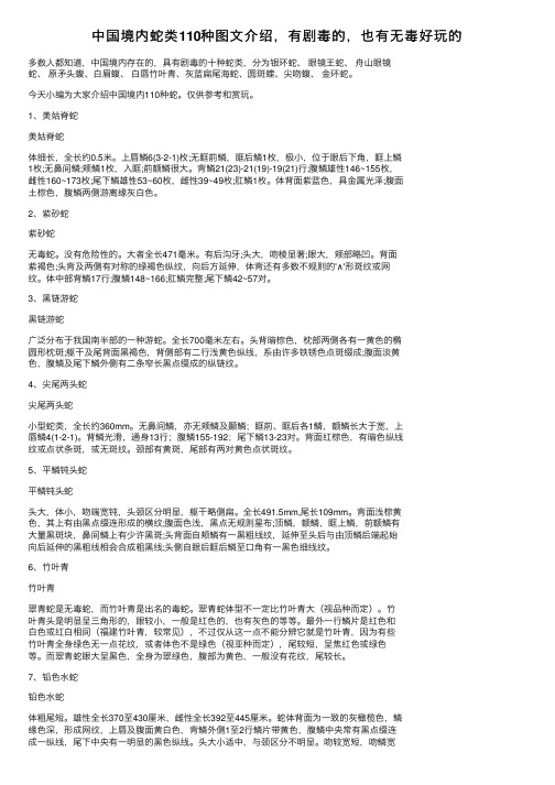 中国境内蛇类110种图文介绍，有剧毒的，也有无毒好玩的