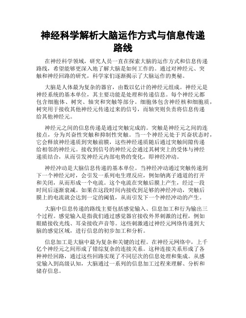 神经科学解析大脑运作方式与信息传递路线