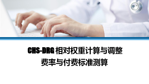 CHS-DRG 相对权重计算与调整及费率与付费标准测算