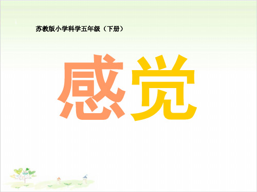五年级下册公开课-感觉 苏教版 (18张)课件下载