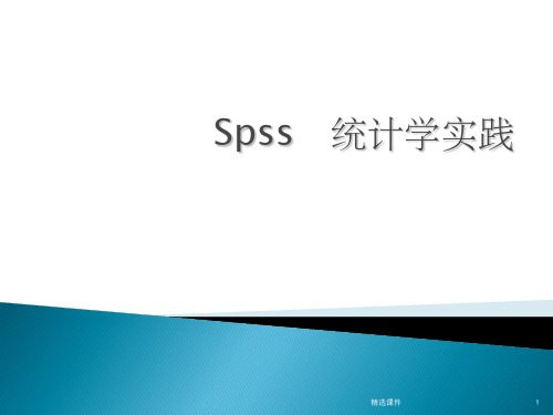 SPSS数据录入(一)