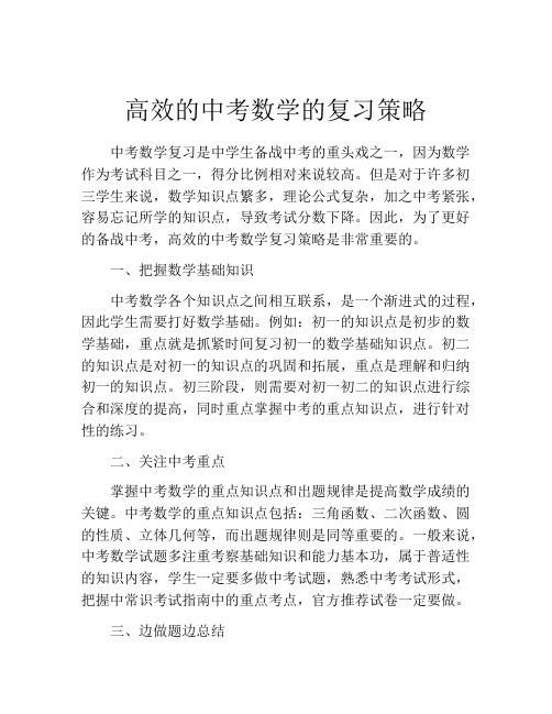 高效的中考数学的复习策略