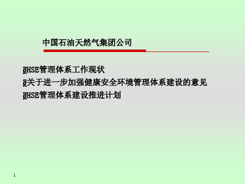 2019集团公司HSE管理体系政策.ppt