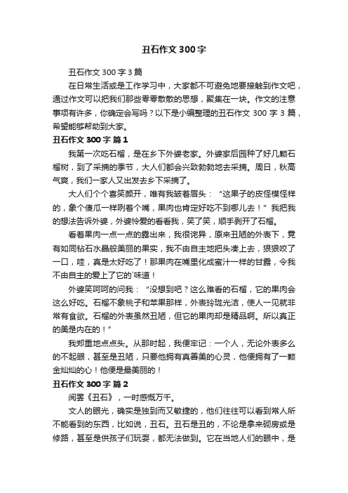 丑石作文300字3篇