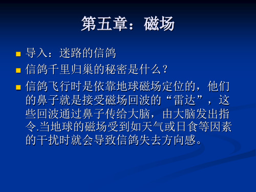 物理 高中 必修三   课件磁场