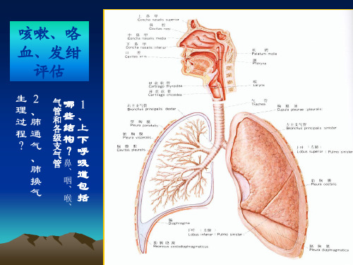 健康评估