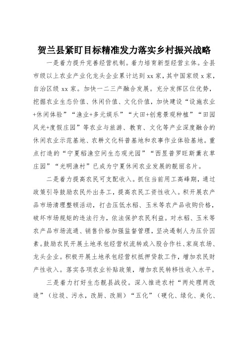 贺兰县紧盯目标精准发力落实乡村振兴战略