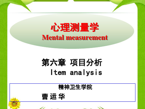 第六章项目分析