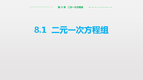 《二元一次方程组》PPT优质课件