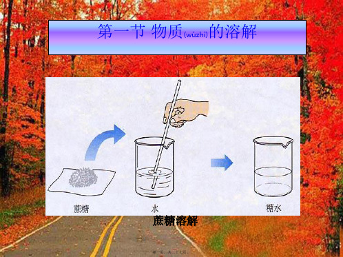 九年级化学全册 第一节 物质的溶解课件 