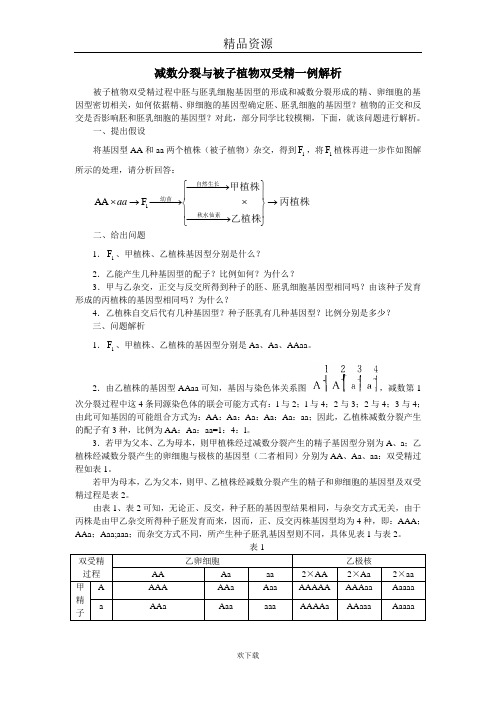 减数分裂与被子植物双受精一例解析