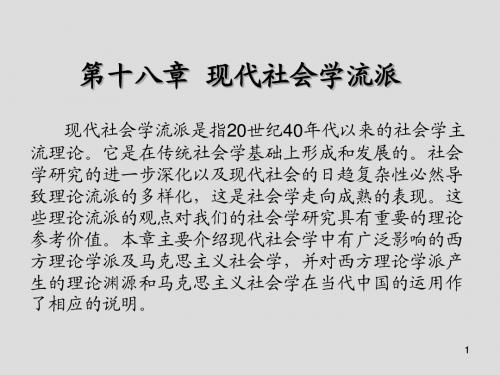 现代社会学第十八章  现代社会学流派