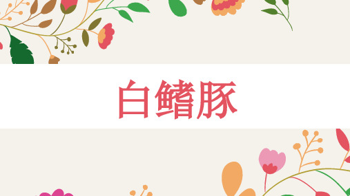 小学美术课件《白鳍豚》