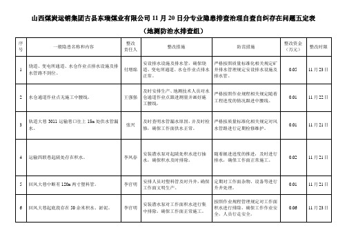 东瑞煤业自查自纠五定表